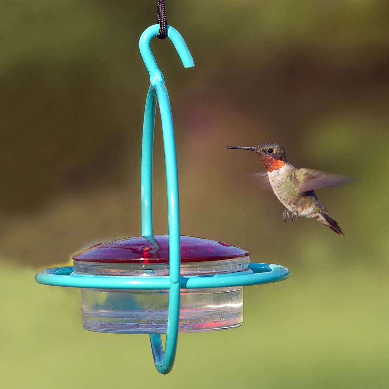 Light Blue Hummingbird Feeder