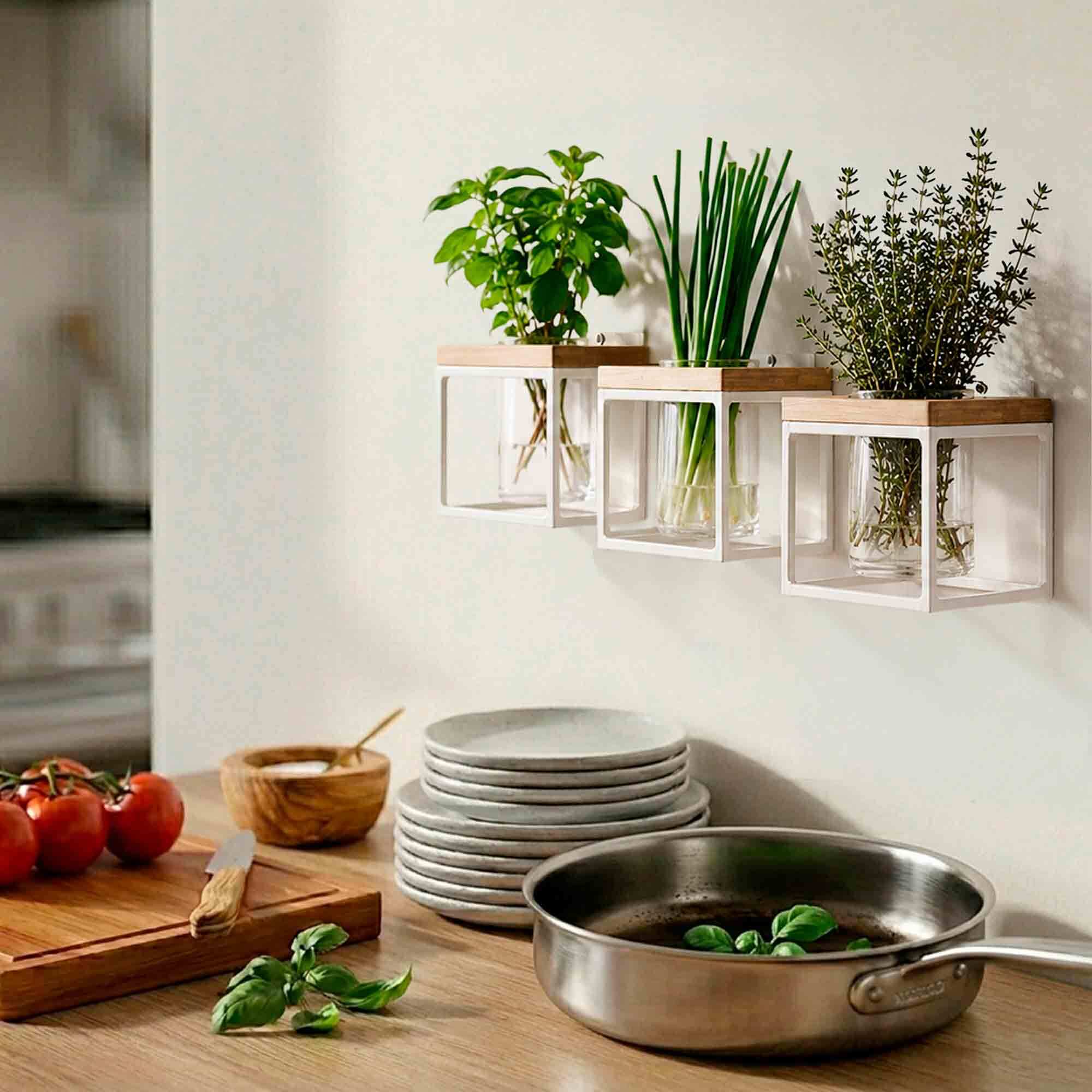 Coastal Pablo Cube Trio Clear on Kitchen Wall with Herbs by Dishes and Pan