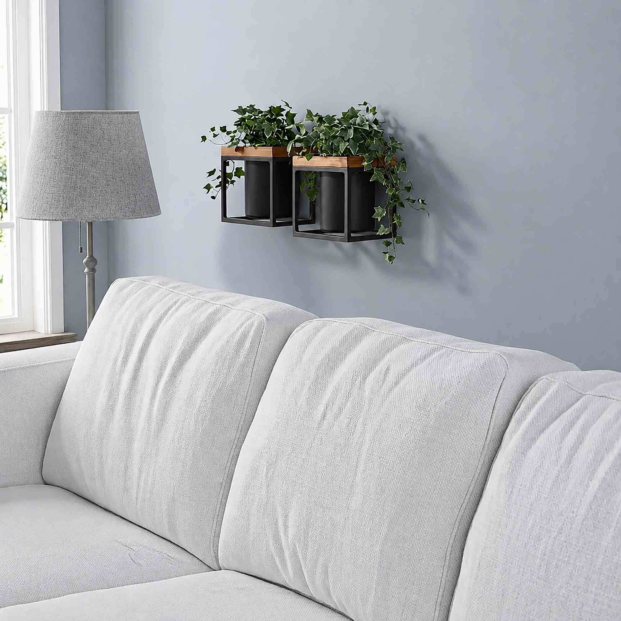 Classic Pablo Cube with Trailing Ivy on Living Room Wall as Casual Decor
