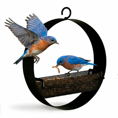 Mosaic Birds Bistro Bird Feeder
