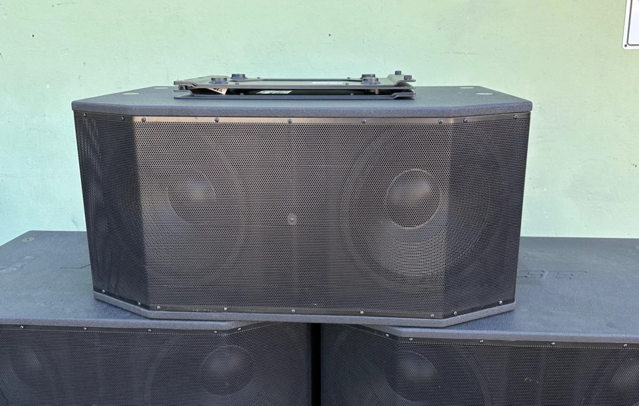 Bose Room Match RMS215 Dual 15