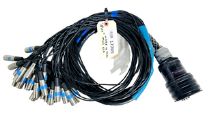 Whirlwind/Soundcraft 8FT W31RP To 31 Ch Male XLR Cable -17705 (One) Whirlwind/Soundcraft 8FT W31RP To 31 Ch Male XLR Cable -17705 (One)