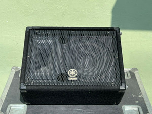 Yamaha 12" BR12M 2-Way 300W Stage Monitor W/Road Case (One) -2757