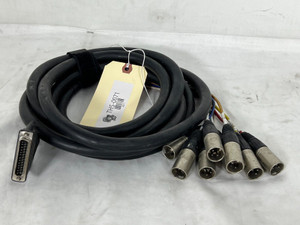 Unbranded 25 Pin To X8 (F) XLR 3 Pin PM5D 12FT Cable -0071 (One) Unbranded 25 Pin To X8 (F) XLR 3 Pin PM5D 12FT Cable -0071 (One)
