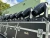 Martin MAC Viper Performance Moving Head Lights (W/ 6 Case/Clamp/Bracket) (LOT OF 10)