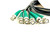 Coleman Cable 3' Green BNC Male Cable -9080 (Lot of 6)