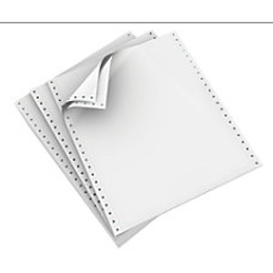 Continuous Computer Paper, with Carbons, Blank, Regular Perf. , 9-1/2" x 11", 3/15# Part/Wt., 1100 Qty/Ctn, Stocking Code S