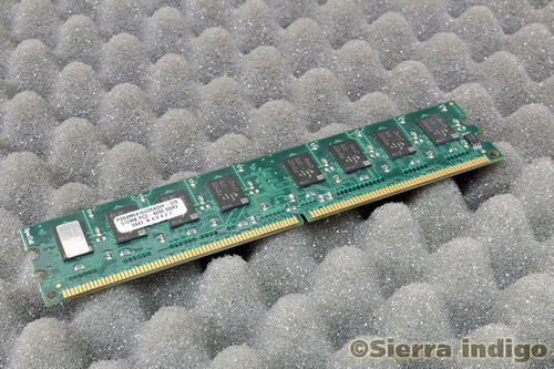 SpecTek PD64M6416U26AD2F-37E 512MB Memory RAM PC2-4200 DDR2