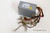 Delta DPS-450DB S Power Supply C41956-001 450W PSU
