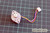 Portescap Stepping Motor S20M020S08-M3 Storageworks 1/8