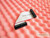 Fujitsu Primergy RX300 Cable Y3924-V1