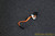 Dell Optiplex 780 SFF Orange ODD SATA Cable Y8FTT 0Y8FTT