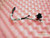 HP Compaq dc5100 dc7100 dc7600 Desktop SFF Button Power Switch Cable 384746-001