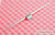 Compaq Evo N160 Laptop Lid Catch