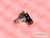 Sony Vaio PCG 883M GR214MP Left Hinge