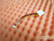 Dell PowerEdge 650 Drive Power Cable 4W941