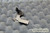 Sony Vaio PCG-GRT916V PCG-8N1M Laptop Left Hinge