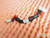 Dell PowerEdge 4600 SCSI Backplane Power Cable 11MHF