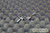 Toshiba Portege M300 Laptop Right Hinge