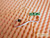 Shuttle XPC SS59G LED Power Button Board Switch Cable JM271