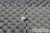 Packard Bell Easy One DC1701DVD Laptop Left Hinge Cover