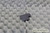 Advent 5365 Laptop Plastic Cover