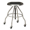 Mobile Stool Stainless Steel Seat Screw Height Adjustment