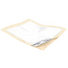 Wings Plus Heavy Absorbency Underpads