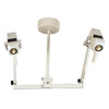 Burton CoolSpot II Halogen Exam Light-Double Ceiling 230V