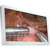 Eizo CuratOR EX2620 26" Surgical Monitor