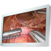 Eizo CuratOR EX2620 26" Surgical Monitor