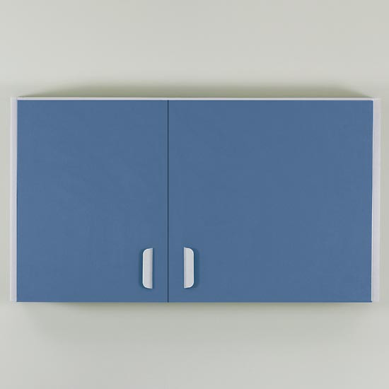 42" Wall Cabinet with 2 Doors
