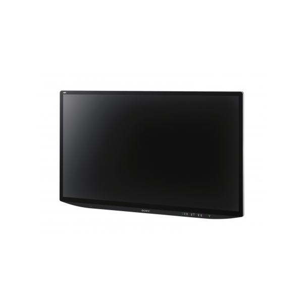 Sony LMDX550MD 55" 4K Surgical Monitor