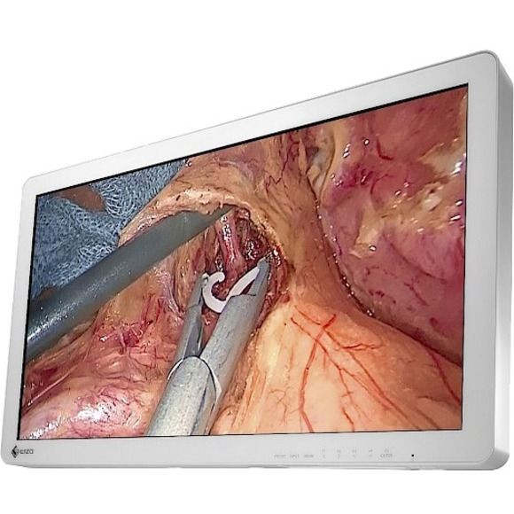 Eizo CuratOR EX2721 27" Surgical Monitor