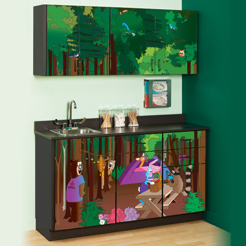 Pediatric Exam Room Cool Park Campgrounds Cabinets