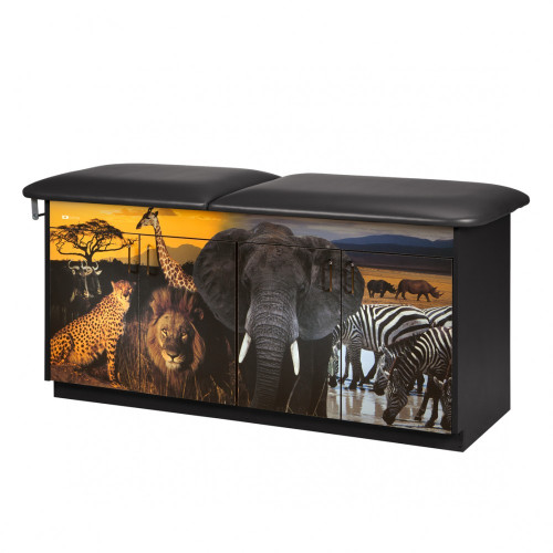 Pediatric Exam Safari Treatment Table