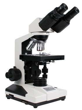 Compound Microscope