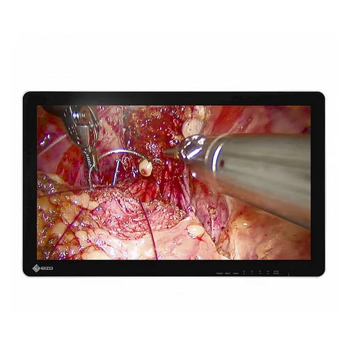 Eizo CuratOR EX2620-3D 26" Surgical Monitor