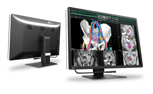 Eizo RX670 6MP 30" Radiology Monitor