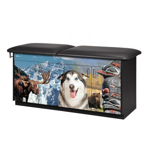 Pediatric Exam Table with Adjustable Backrest Alaskan Wilderness