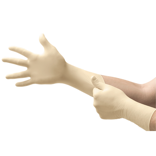 Exam Gloves 