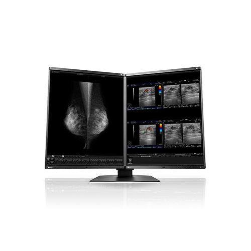 Eizo RX560 5MP 21" Radiology Monitor