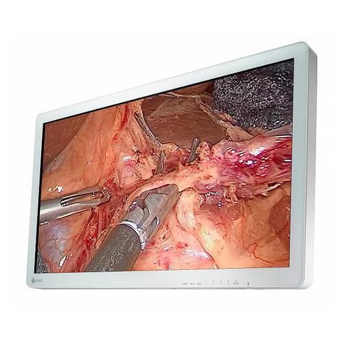 Eizo CuratOR EX3220 31" Surgical Monitor