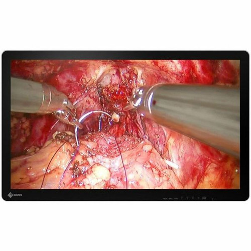 Eizo EX3242-3D 32" Surgical Monitor