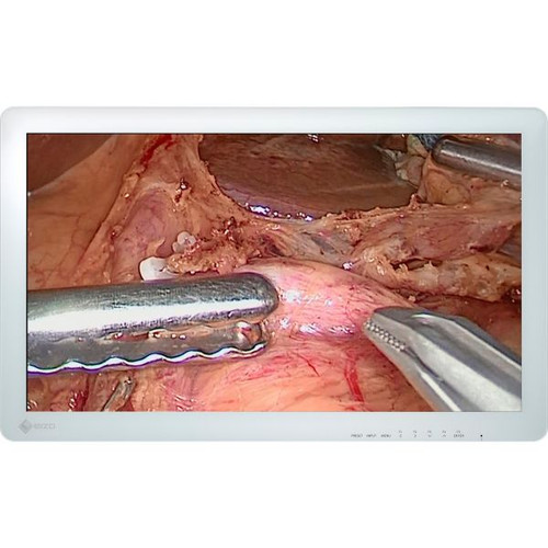 Eizo CuratOR EX2620 26" Surgical Monitor