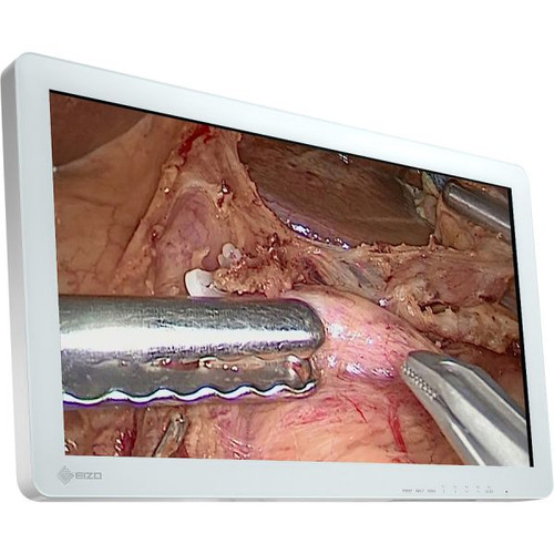 Eizo CuratOR EX2620 26" Surgical Monitor