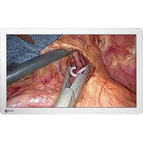 Eizo CuratOR EX2721 27" Surgical Monitor