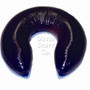 Blue Diamond Gel Adult Gel Horseshoe Headrest | BD2170