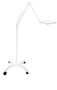 Philips Burton Nova Exam LED Exam Light