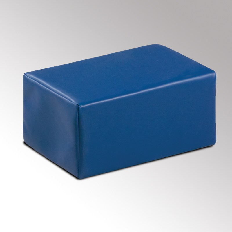 Physical Therapy 6" Cube Pillow
